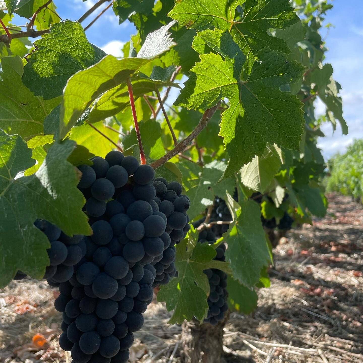 9b3961b7 240b 4380 b295 fbcebd1d4a06 9b3961b7 240b 4380 b295 fbcebd1d4a06