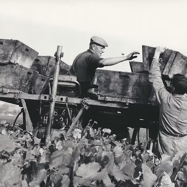 image generation poilblan image generation poilblan