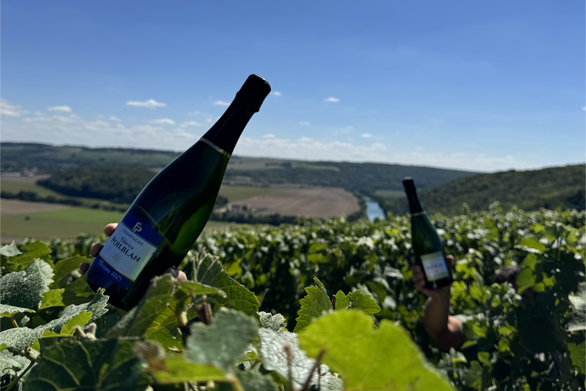 photo vignes2025 web photo vignes2025 web